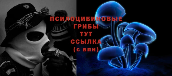 соль курить ск Арсеньев